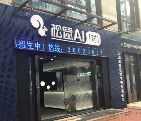 松鼠AI1对1有什么特色和优势？