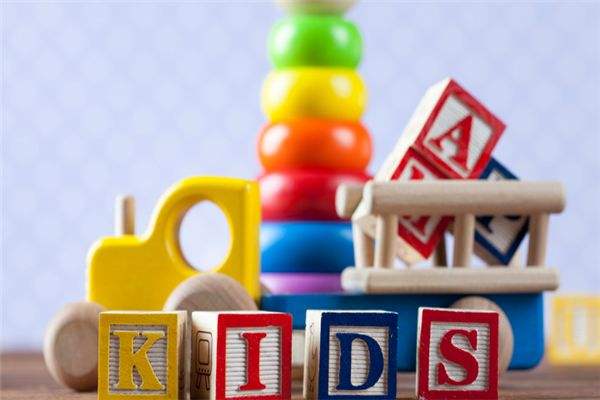 动力猫机器人编程教育加盟品牌如何？