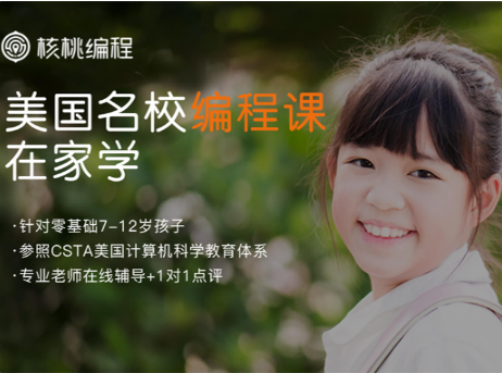 核桃编程加盟优势有哪些呢？