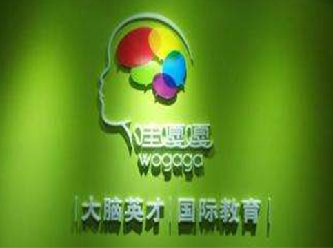 哇嘎嘎大脑英才加盟优势有哪些呢？