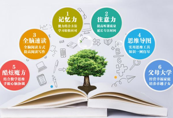 脑星人全脑教育加盟条件是什么呢?