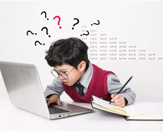 肺鱼思维加盟利润高吗？