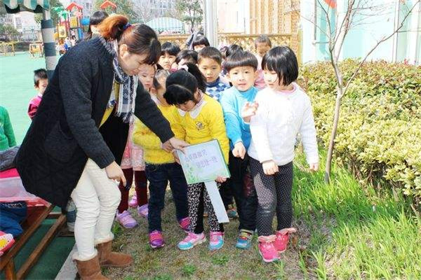 米儿谷紫藤幼儿园加盟怎么样？