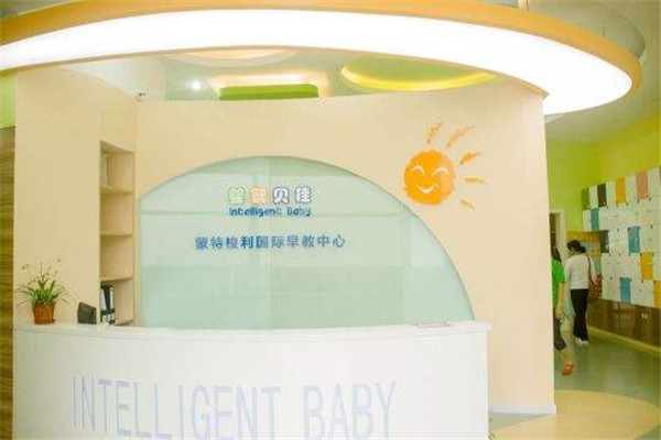 婴智贝佳国际早教中心加盟多少钱？