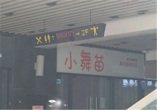小舞苗