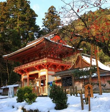 日本村加盟课程体系完善吗？