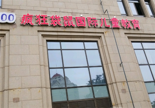 疯狂袋鼠国际儿童教育加盟费用多少钱？