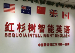 红杉树智能英语教育机构加盟费多少钱？