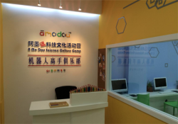 阿墨逗加盟费用？阿墨逗乐高加盟怎么样？
