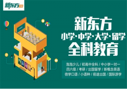 新东方可以加盟吗？