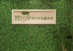荷叶伞海量阅读加盟优势有哪些？靠不靠谱？