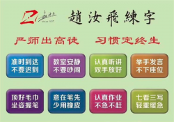 赵汝飞练字加盟怎么样？