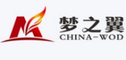 梦之翼记忆开发