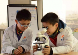 德拉学院加盟项目有哪些优势？