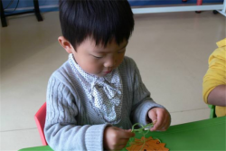 疯狂家族儿童科学俱乐部怎么加盟？
