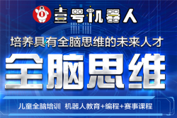 壹号全脑机器人