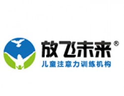 放飞未来注意力训练