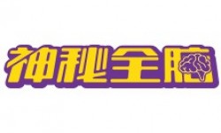 神秘全脑