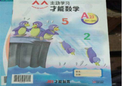 才能数学加盟可以吗？