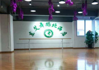 东艾舞蹈艺术培训加盟评价是什么？