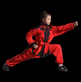 武术加盟学校有哪些？