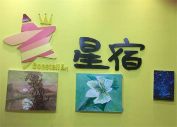 星宿创意美术怎么样？加盟优势有哪些？