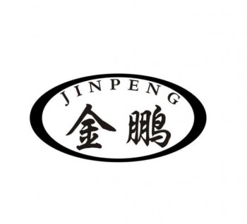 金鹏高中英语