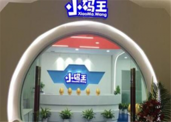 小码王少儿编程加盟怎么样？