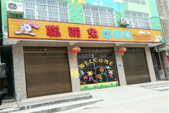 聪明兔幼儿早教加盟需要满足什么条件？