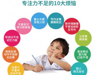 多特儿童专注力加盟费多少钱？