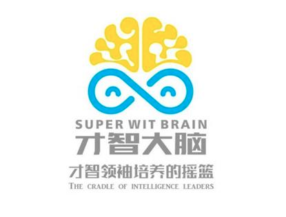 才智大脑