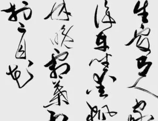 新世纪书法的练字可以加盟吗？