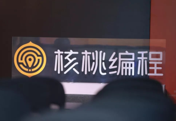 核桃星球编程加盟市场前景如何？