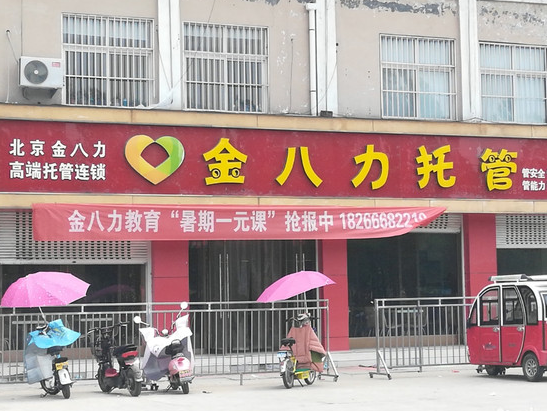 金八力托管加盟多少钱？