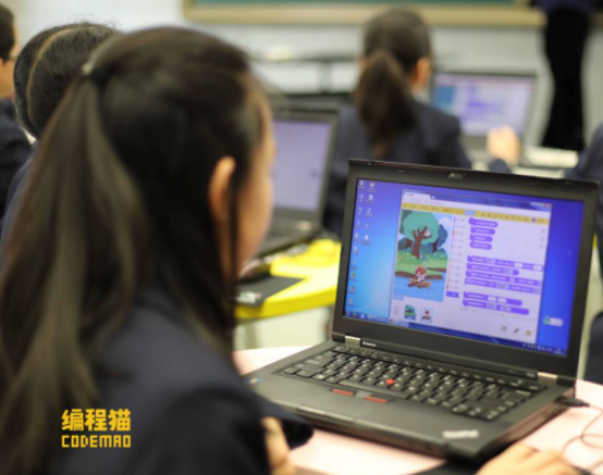 编程猫实体加盟要准备什么？