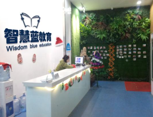 智慧蓝阅读加盟怎么样？