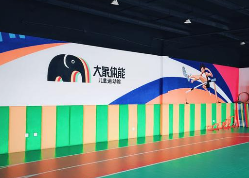 加盟一家大象体能儿童运动馆要多少钱？
