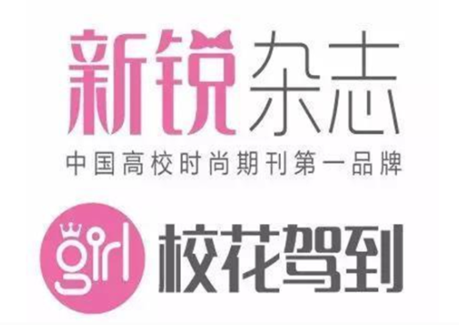 新锐校花驾到加盟费多少？