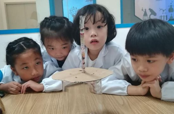 小牛顿思维馆加盟费多少？