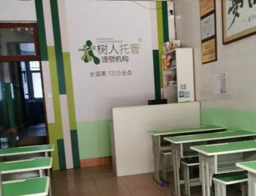 加盟树人托管怎么样？