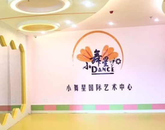 小舞星国际艺术中心加盟怎么样？