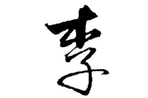 李字硬笔书法