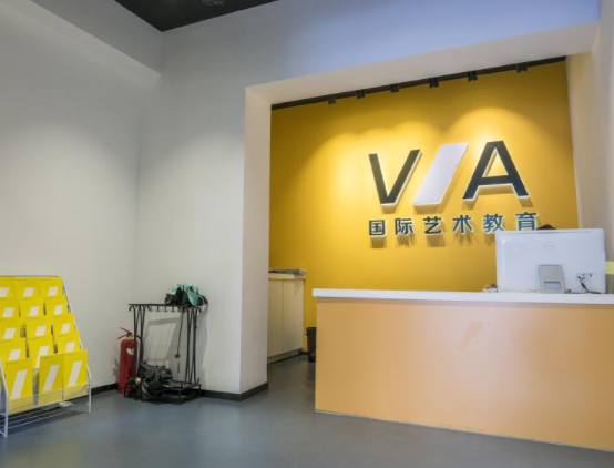 va国际艺术教育怎么样？
