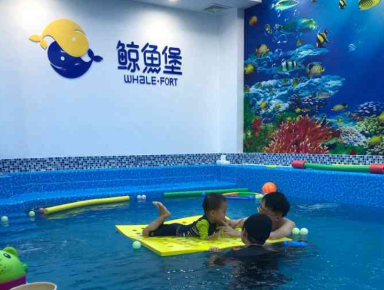 鲸鱼堡加盟总部地址在哪里？