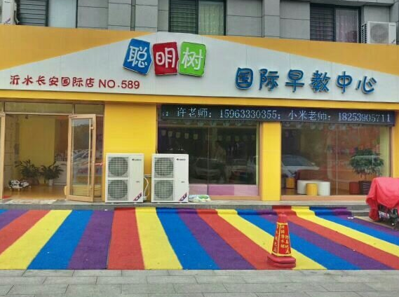 聪明树国际早教中心加盟费多少？