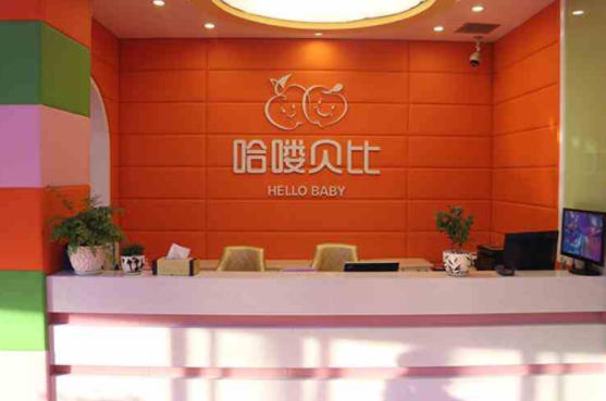哈喽贝比早教怎么加盟？