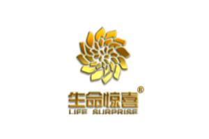 生命惊喜家庭教育怎么加盟