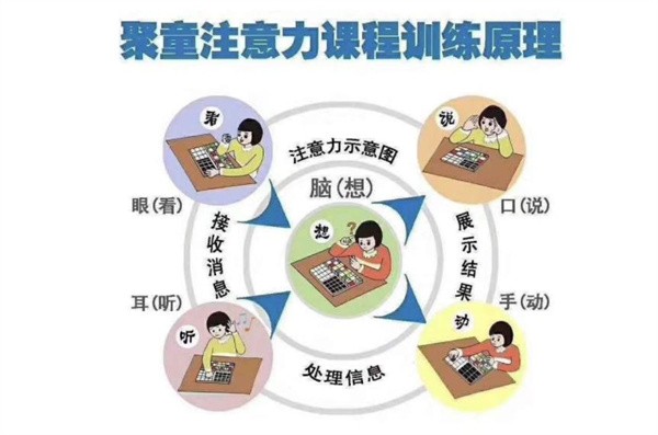 加盟聚童专注力总部在哪里?