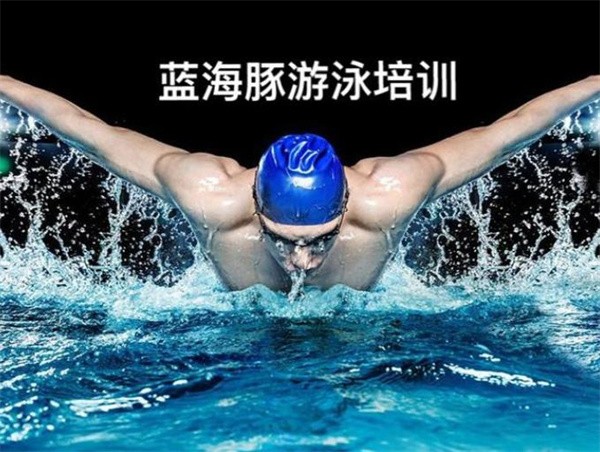 蓝海豚游泳培训班加盟怎么样?