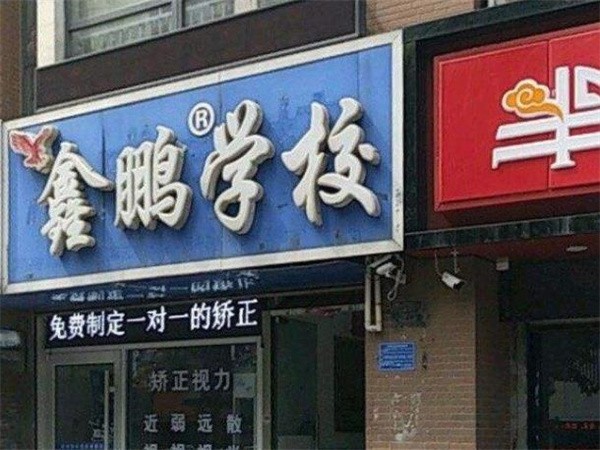 石家庄鑫鹏教育可以加盟吗?